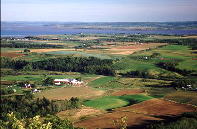 blomidon